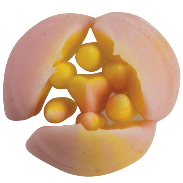 Bocchetta per sac à poche - BX0008 di Martellato Professional