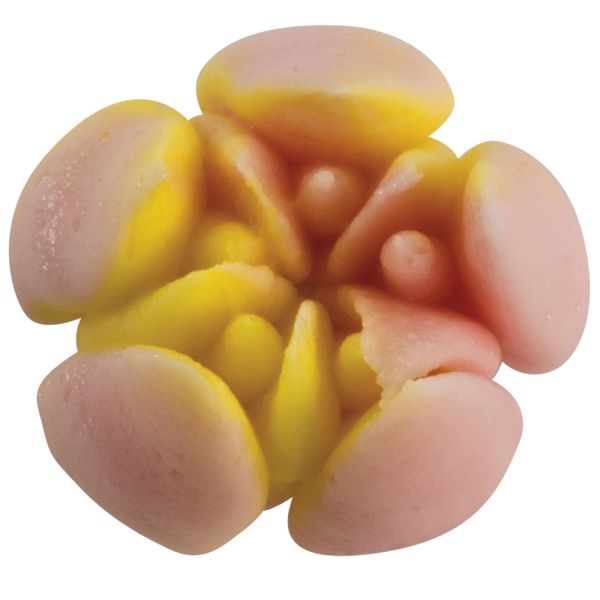 Bocchetta per sac à poche - BX0023 di Martellato Professional