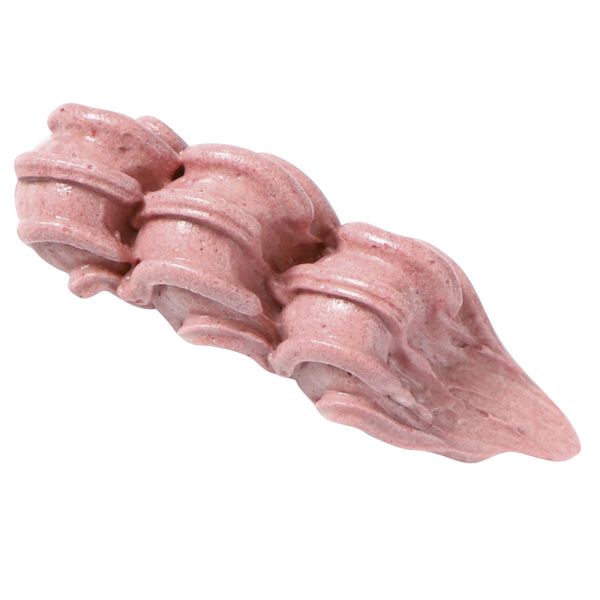 Bocchetta per sac à poche - BX0044 di Martellato Professional