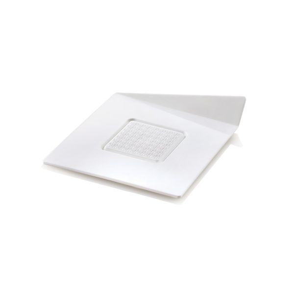 SET 100 VASSOI BIANCHI - QUADRATI 83X83 MM di Silikomart Professional