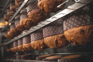 Girapanettone inox 2150 x 380 mm